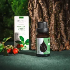 Wintergreen essential oil box essences bulgaria