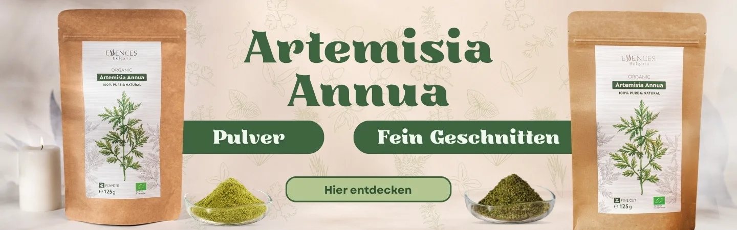 Artemisia Annua